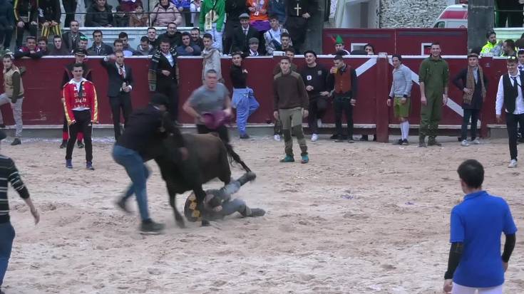 Pattar zezenarekin hasi dute Asteartita